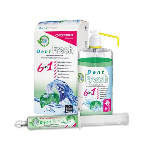 DENT FRESH MINT