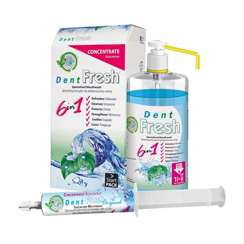 DENT FRESH ORIGINAL
