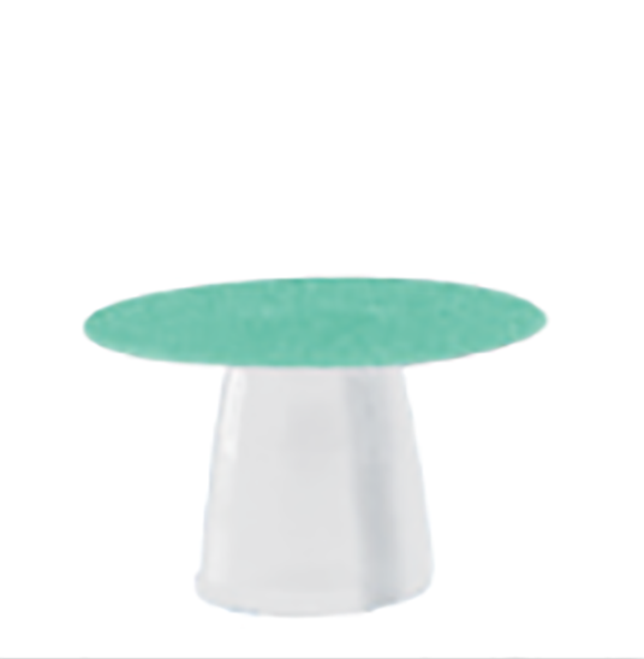 Flexi-Snap - Composite Polisher
