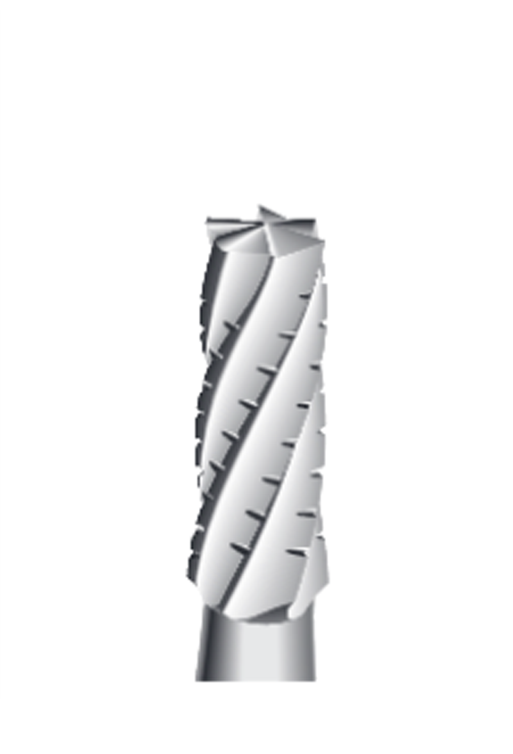 C31 - Cylinder TC Bur